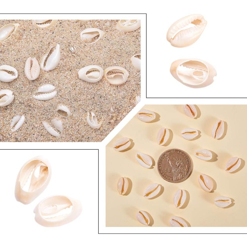 400 Pcs 13mm-16mm 긴 혼합 자연 Cowr - Jewelry Making Long Beach 리뷰 및 가격